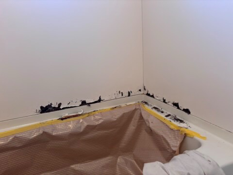 浴槽パネル補修/神奈川県/腐敗/ﾘﾍﾟｱ/ｺｰｷﾝｸﾞ