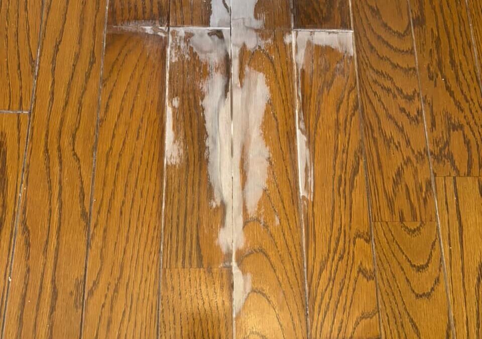 トイレ床補修/神奈川県/塗装/ﾘﾍﾟｱ